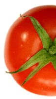 Sardine In Tomato